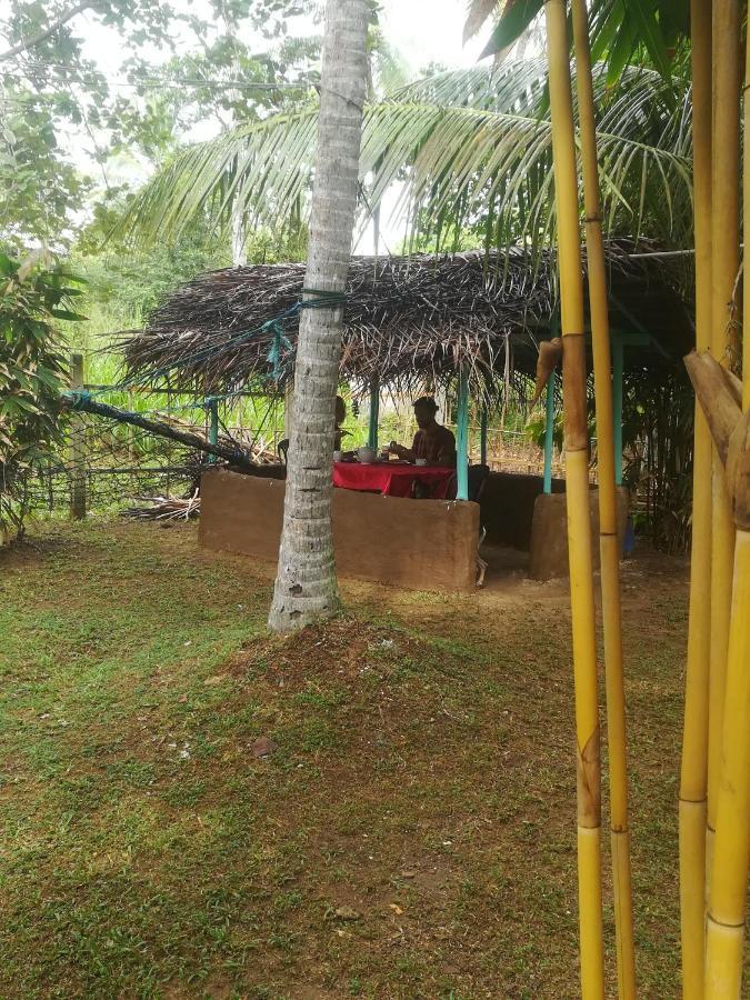Bamboo Home Stay Hiriketiya Dickwella Zewnętrze zdjęcie