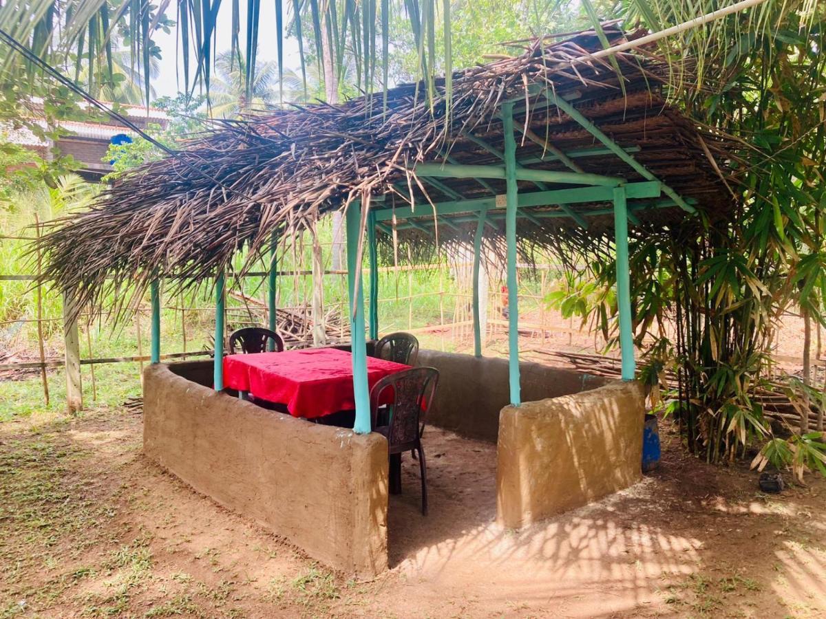 Bamboo Home Stay Hiriketiya Dickwella Zewnętrze zdjęcie