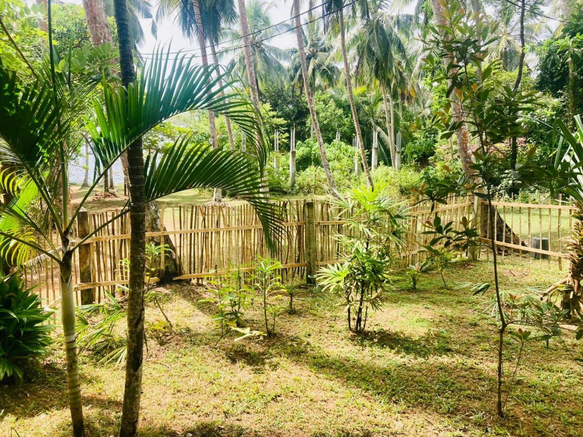 Bamboo Home Stay Hiriketiya Dickwella Zewnętrze zdjęcie